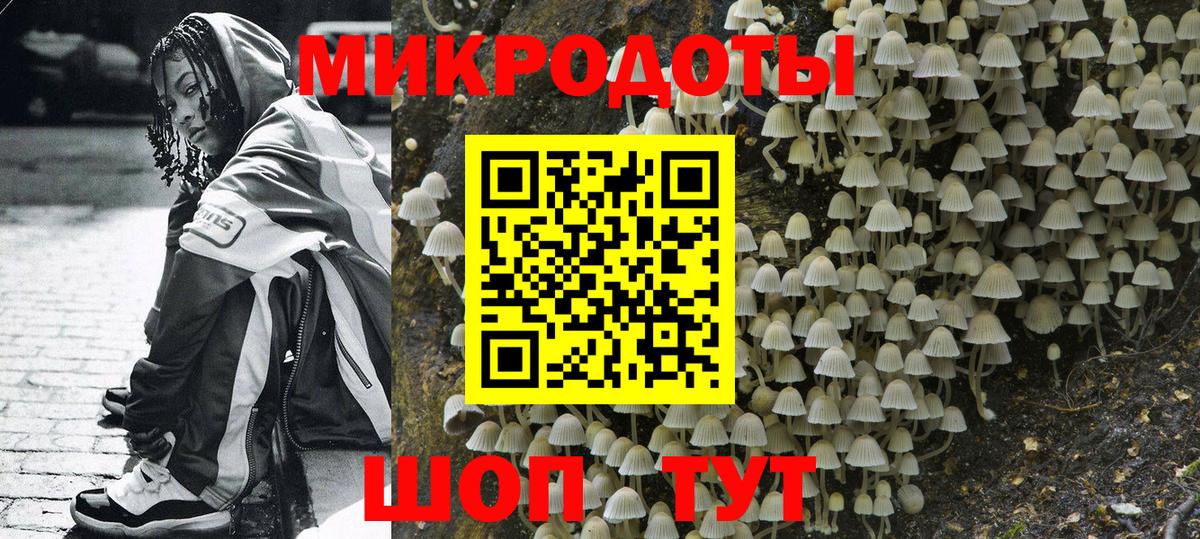 Галлюциногенные грибы Cubensis  Вход с VPN  Псилоцибиновые грибы ЛСД  Великий Новгород 